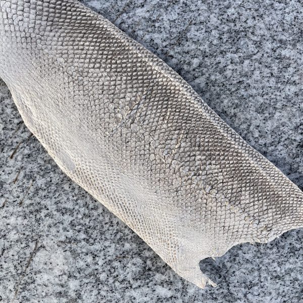 Fiskeskinn, lakseskinn - Bilde 2